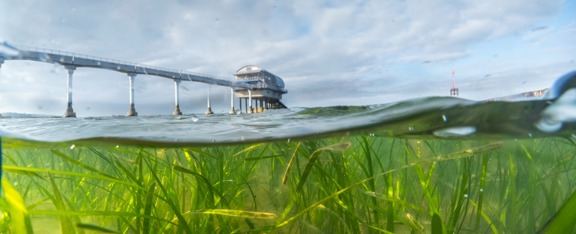 Second phase of workshops for Solent Seascapes 