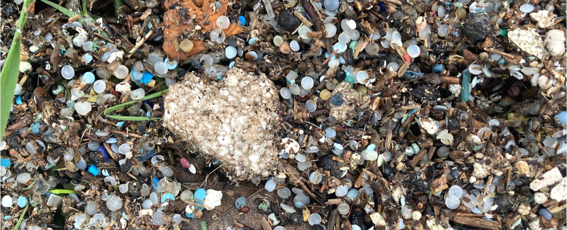 Assessing microplastics in the Solent estuarine complex